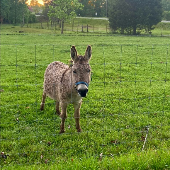 Meet your Posher, Melanie - Picture 14 of 16
